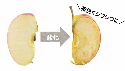 抗酸化と美白の関係 前半