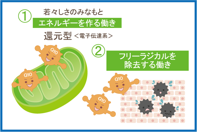 XLAB CYTOX