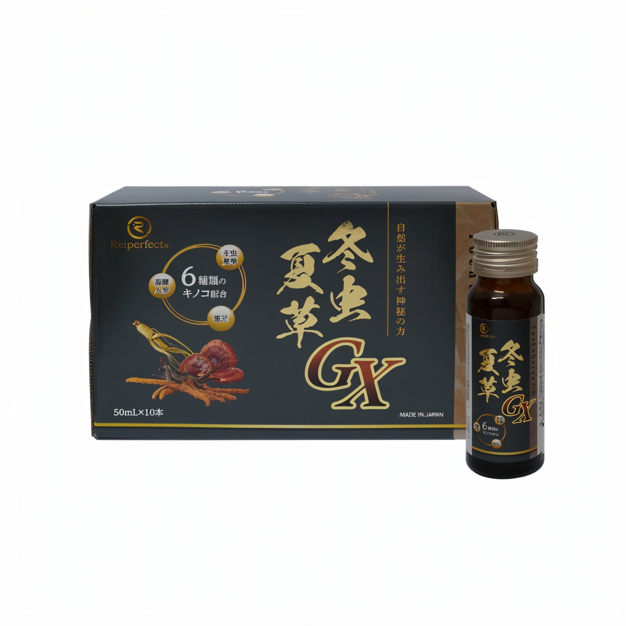 冬虫夏草 快脳冬虫夏草