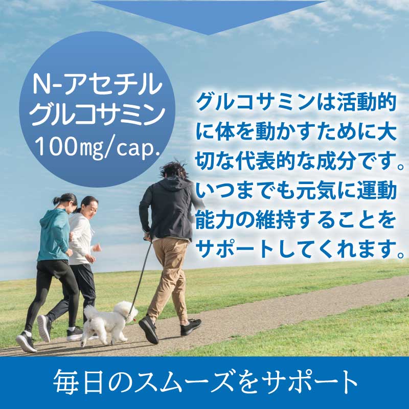 GLUCOSAMINE(グルコサミン)