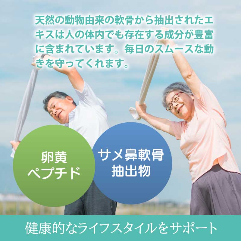 GLUCOSAMINE(グルコサミン)