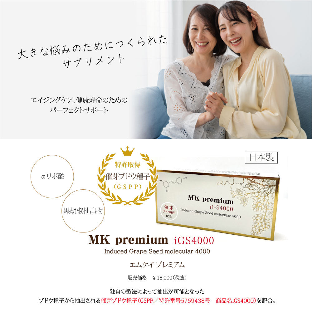 MK premium iGS4000