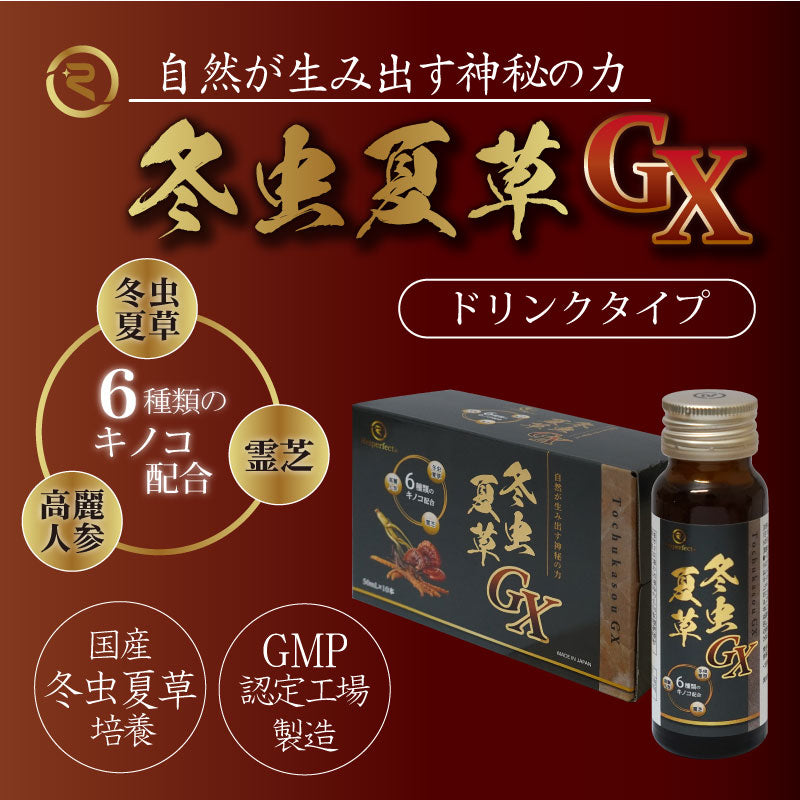 冬虫夏草GXドリンク