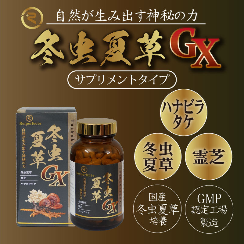 冬虫夏草GXサプリメント