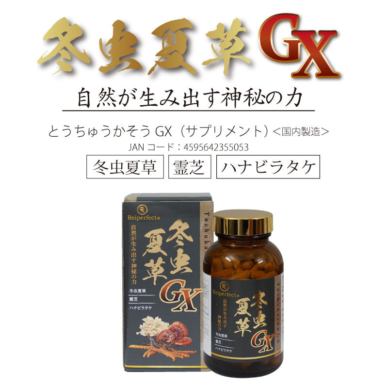 冬虫夏草GXサプリメント
