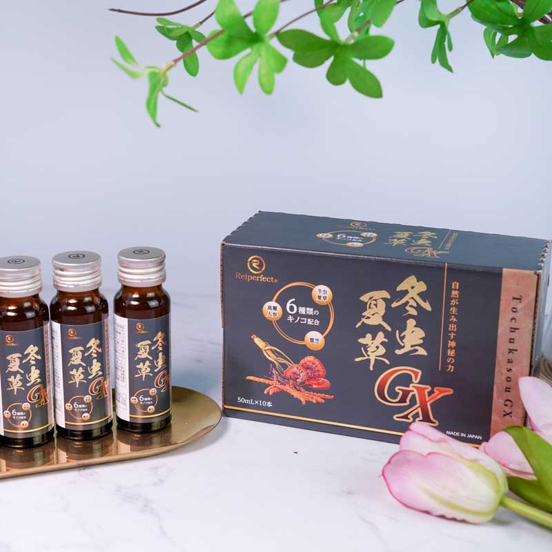 冬虫夏草GXドリンク