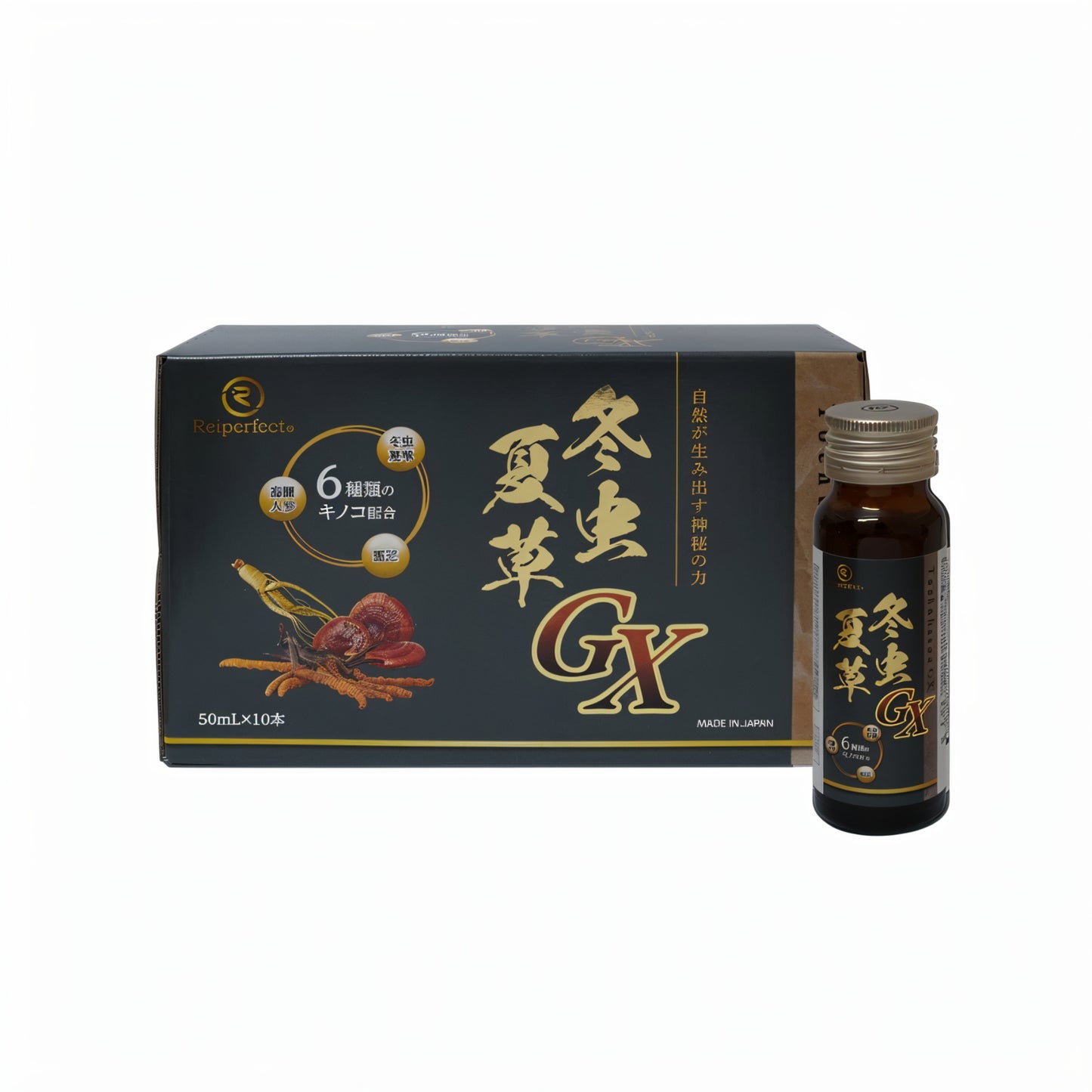 冬虫夏草GXドリンク