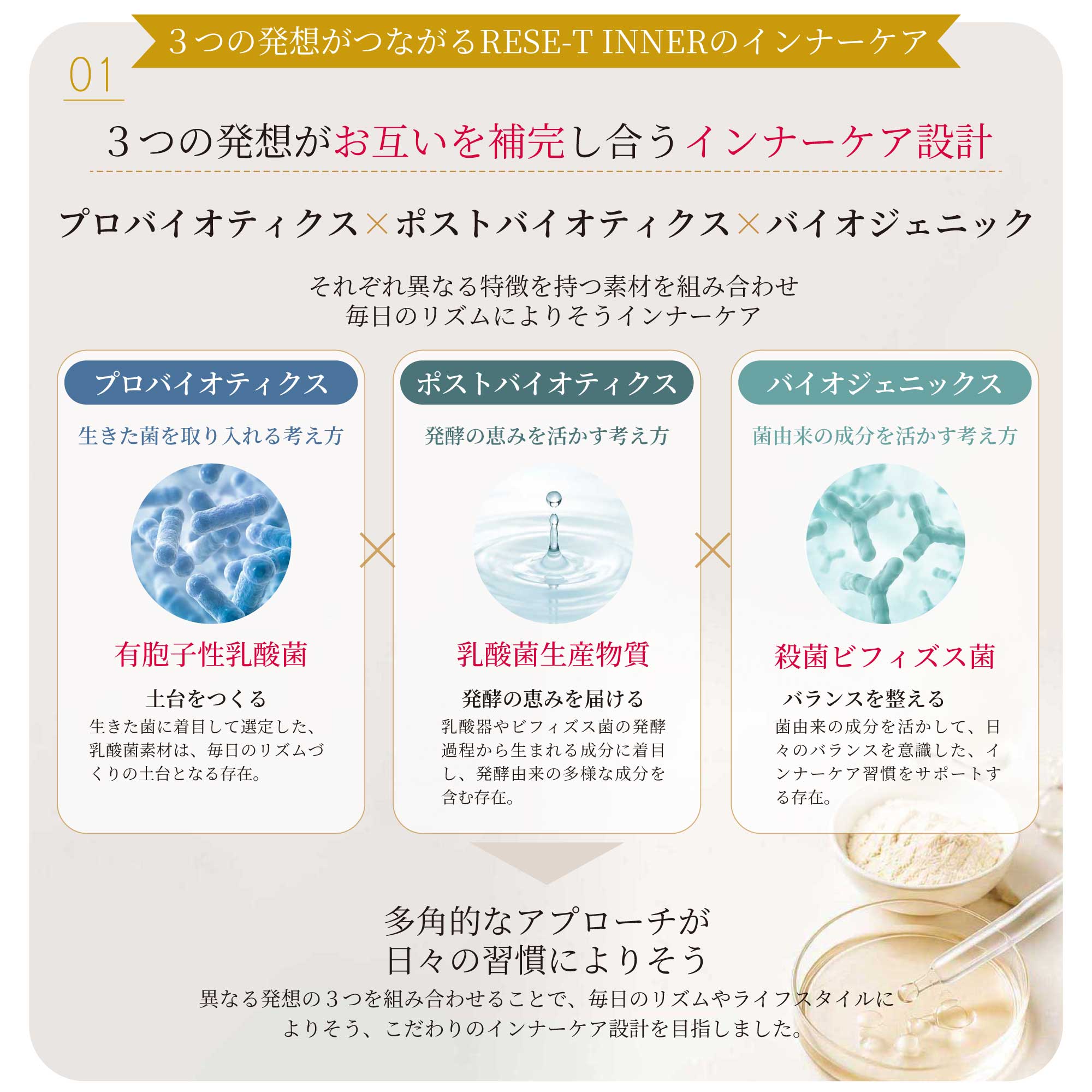インナーリセット　正規品　新品1箱 RESE-T INNER（リセット インナー） – KUU MEDIC