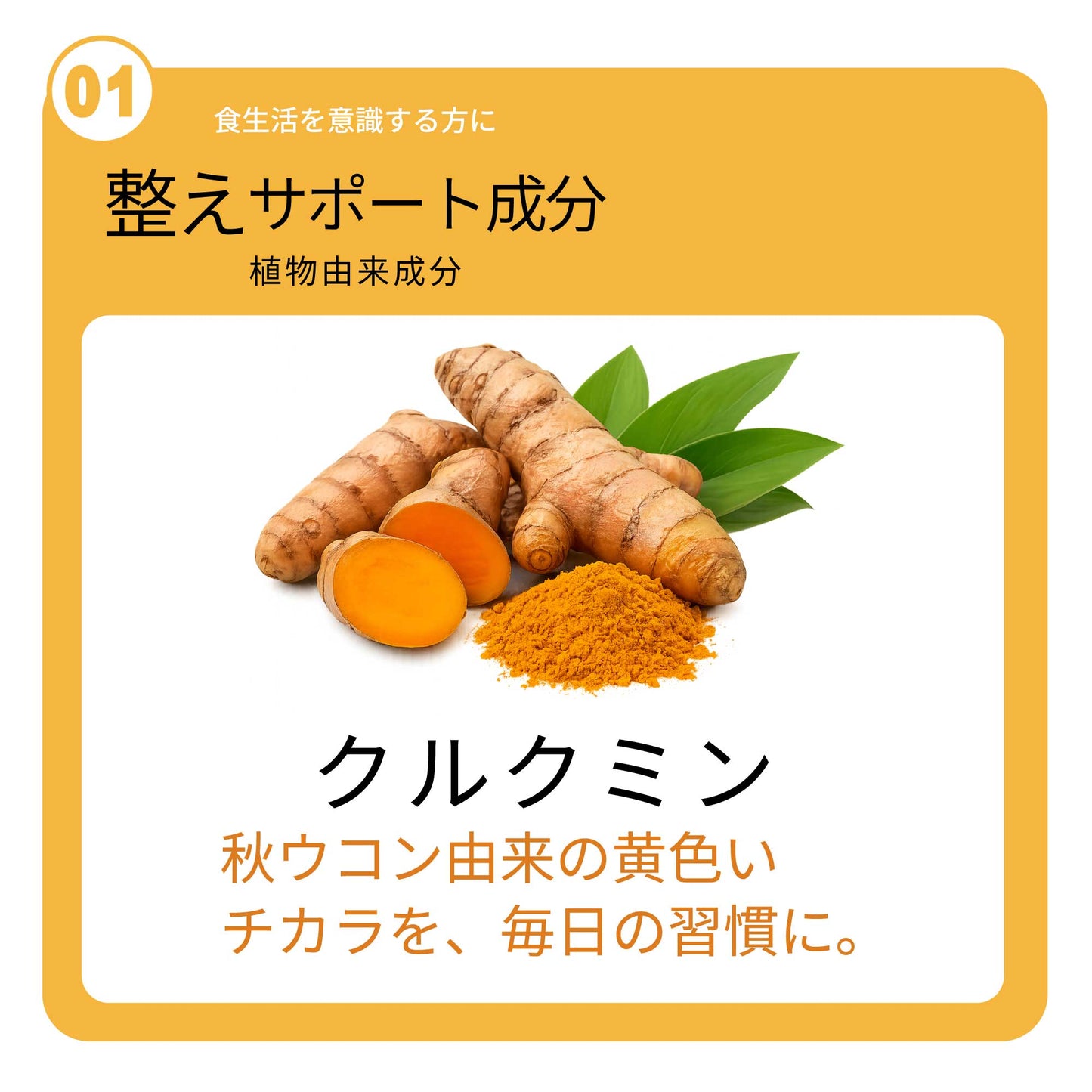 LipoCUR（リポクル）